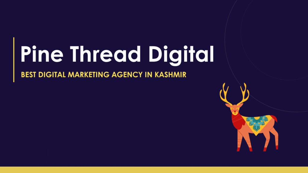 Best Digital Marketing Agency in Kashmir